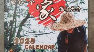 麻爱心流浪狗协会  推2025年月历筹经费