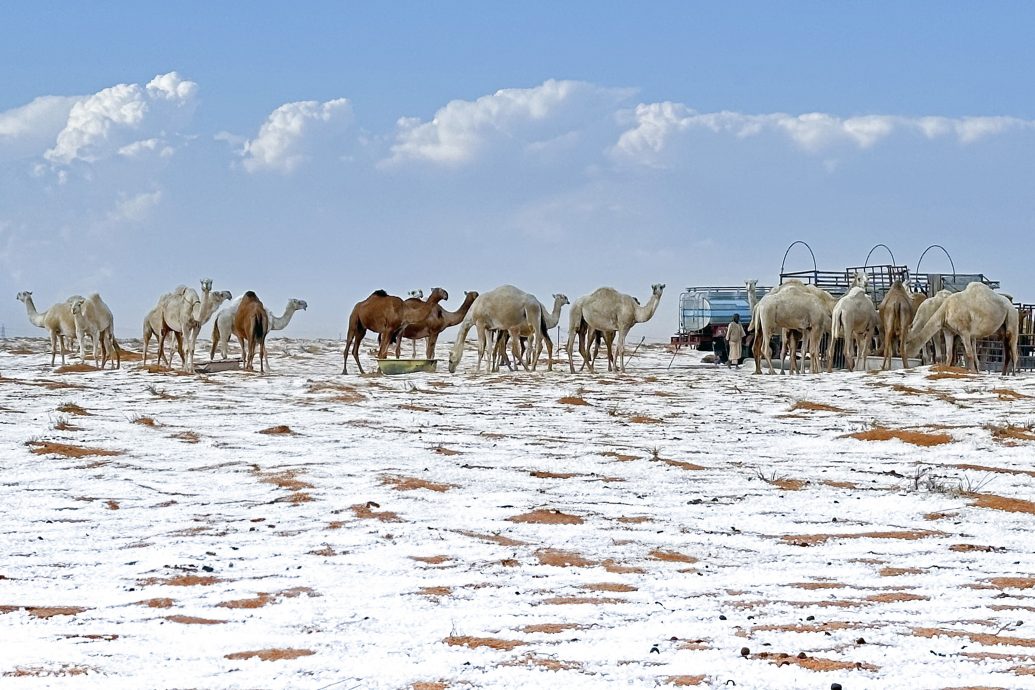 沙地阿拉伯下雪了 乾旱沙漠变银白大地 