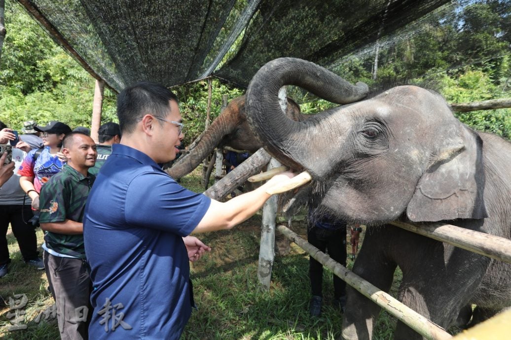 林添顺：柔州拟设置21个食物库，供野象吃饱喝足后返回森林