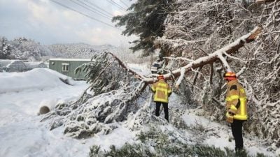 韩国连2天降大雪至少4死 航班取消渡轮停摆