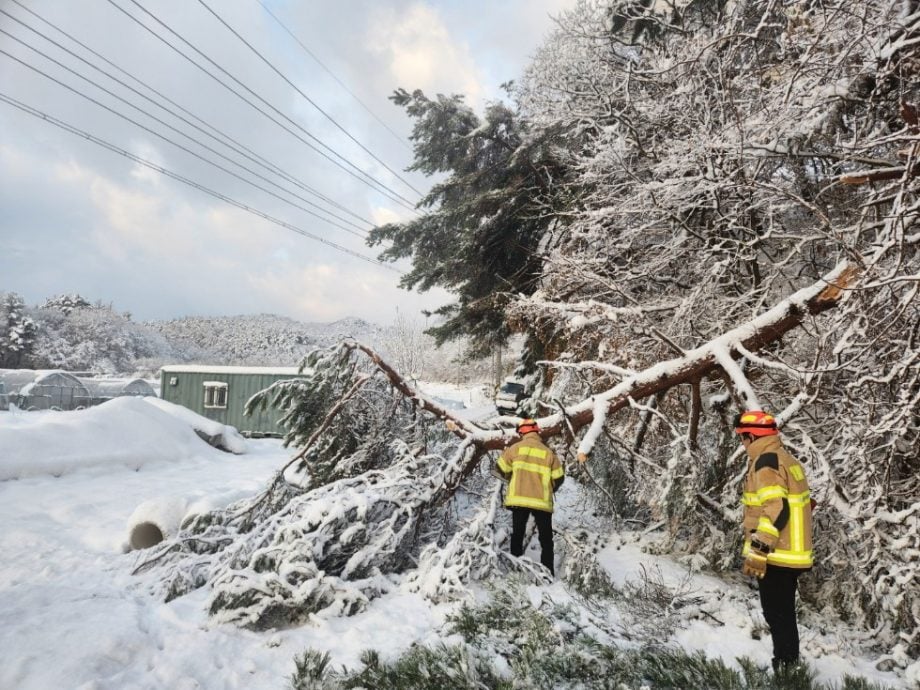 看世界两图)韩国连2天降大雪至少4死 航班取消渡轮停摆