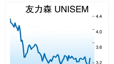 第三季淨利遜預期  友力森盈利下調