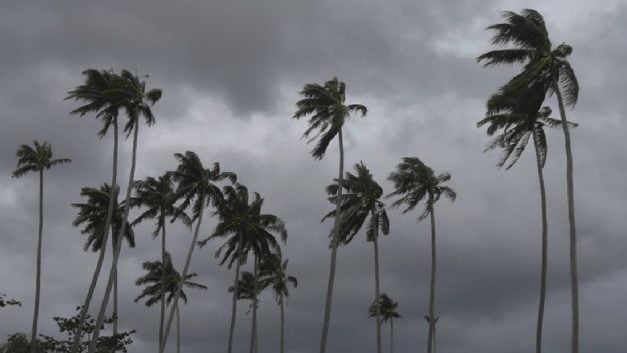 至今午1时 东海岸和柔部分地区迎强风暴雨