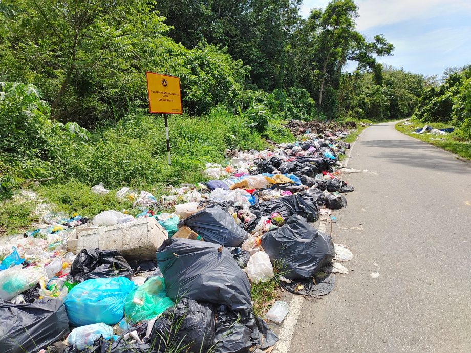 闭路电视一个月揪出30人乱丢垃圾