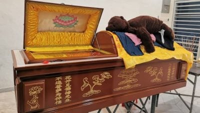 集装箱压死女司机|  母亲：2年来随身携带   熊熊布偶陪上路