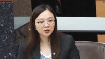 雪州議會 | 嘉瑪莉亞：清理基於社會責任   非法垃圾不屬KDEB範圍