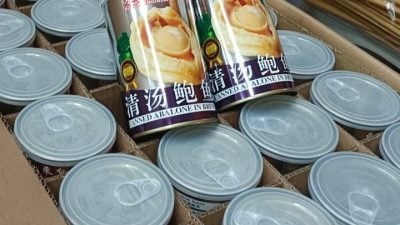 马杰顺：中国养殖鲍鱼业热门 罐头鲍鱼越来越便宜