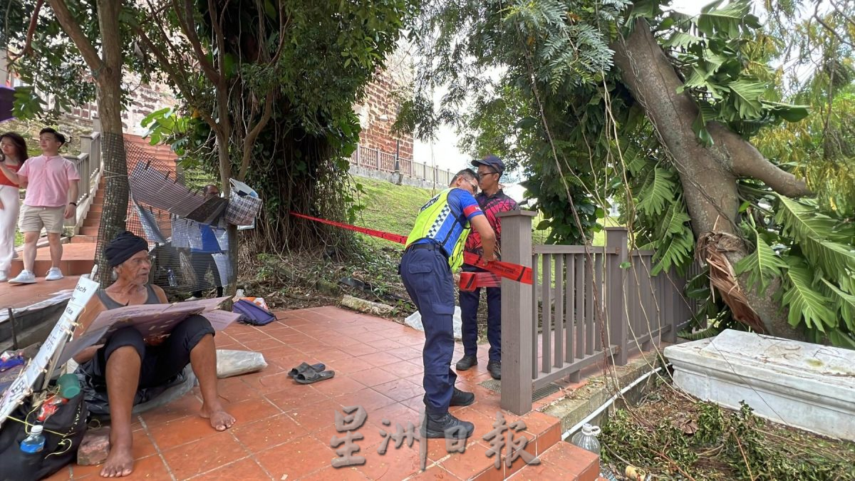 （古城封面主文）圣保罗山大树枝干断裂·压毁栏杆古墓 当局快清理