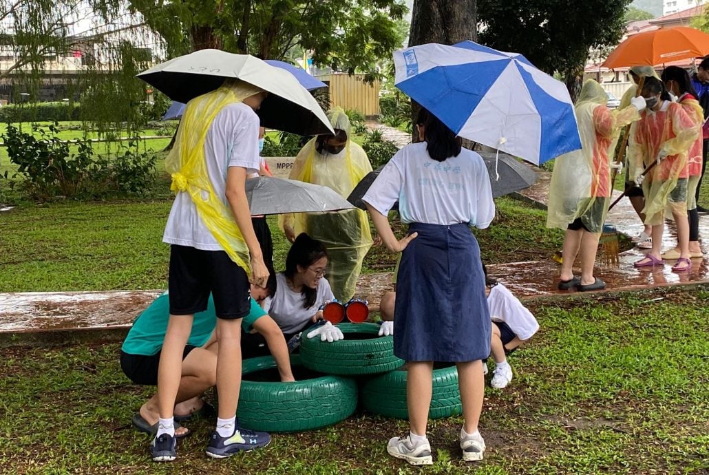 （大北马）年轻人/中华中学 绿化运动（主文）