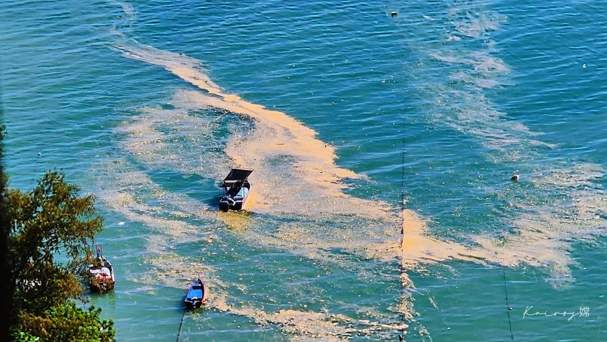 （大北马）水上清真寺附近海域，漂浮黄褐色疑似污染物