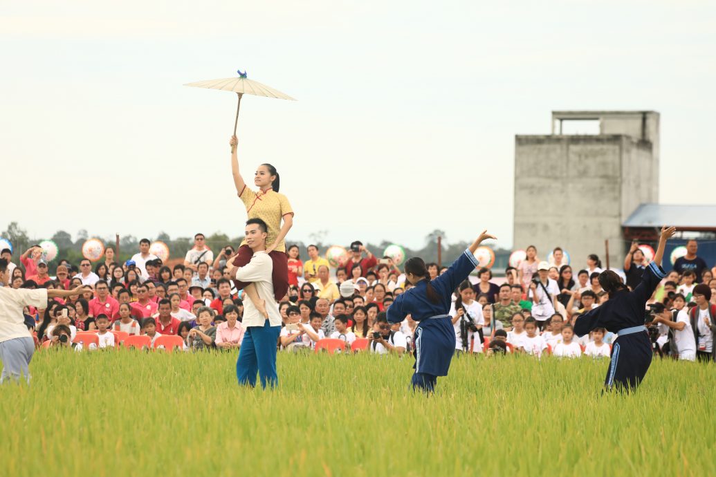 第六届美丽生活节预告