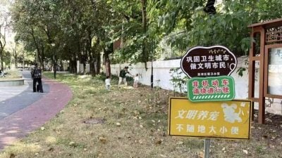 广州逾40只狗中毒死亡 疑预谋作案