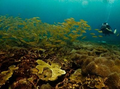 天气恶劣不利游客 . 实务地国家公园暂关闭