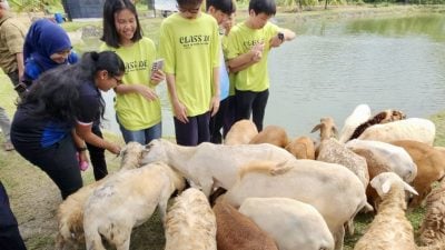 波中师生户外教学   上山下海灌输“爱的教育”