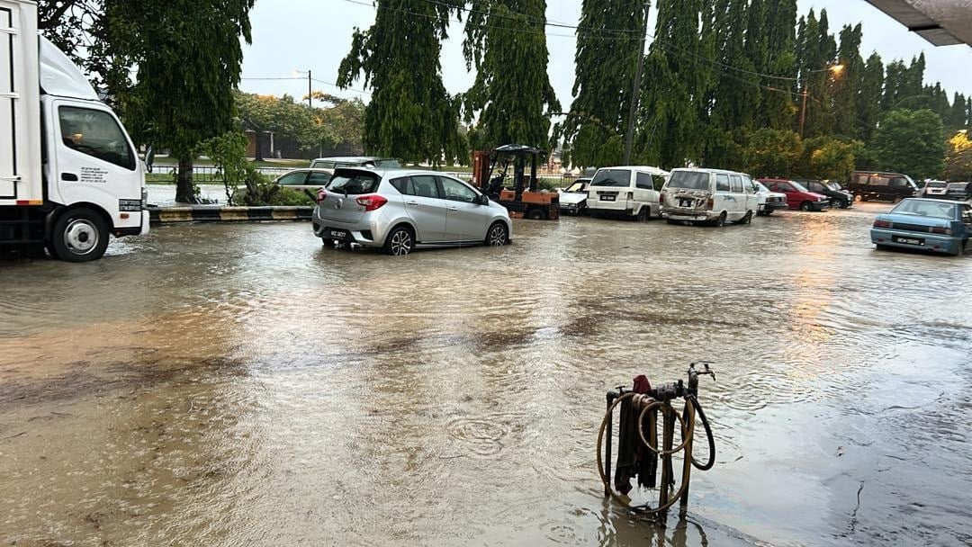 ns淡边：长命雨来袭，淡边多处沦陷