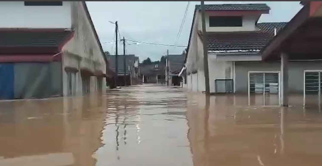 ns淡边：长命雨来袭，淡边多处沦陷