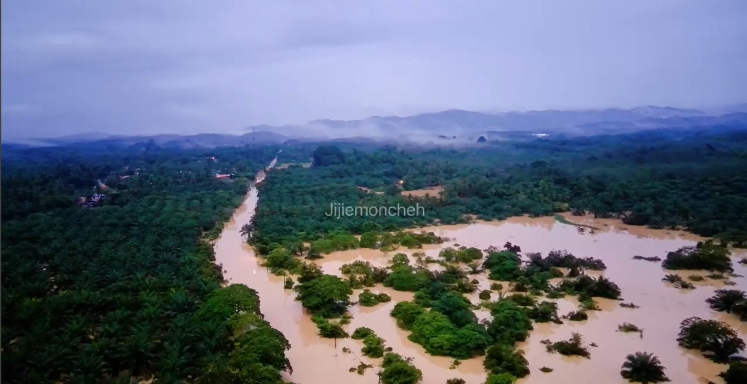 ns淡边：长命雨来袭，淡边多处沦陷