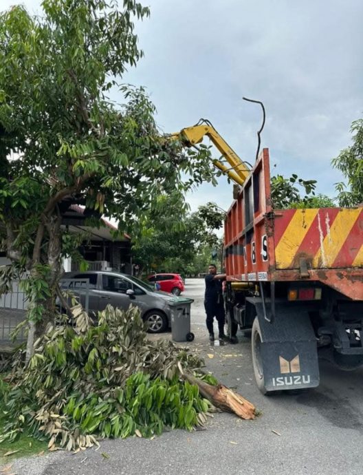 NS芙蓉/私人地主接警告也不清理荒地，芙市政厅过去4年承担19万清理费