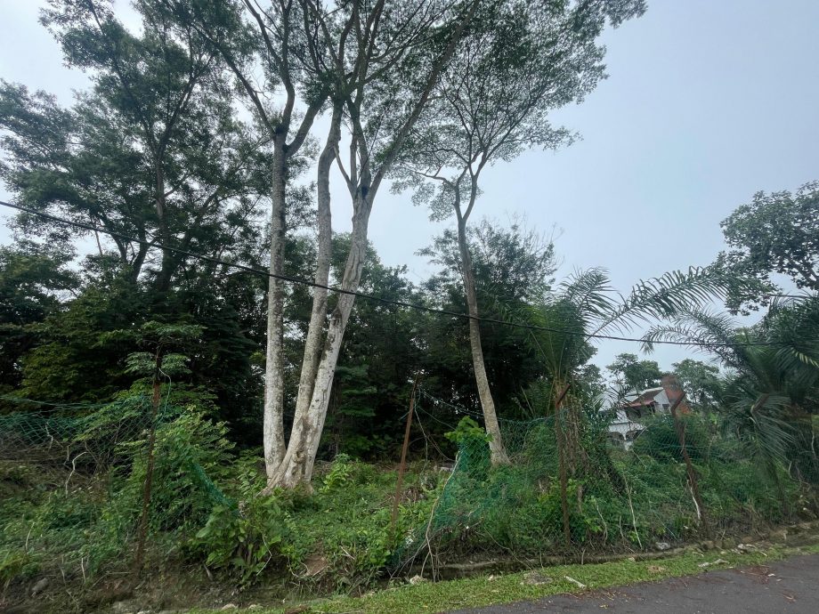 NS芙蓉/私人地主接警告也不清理荒地，芙市政厅过去4年承担19万清理费