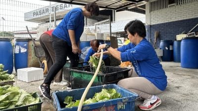 芙公市酵素處理中心獲提升   淨化環境邁向“零鮮垃圾”