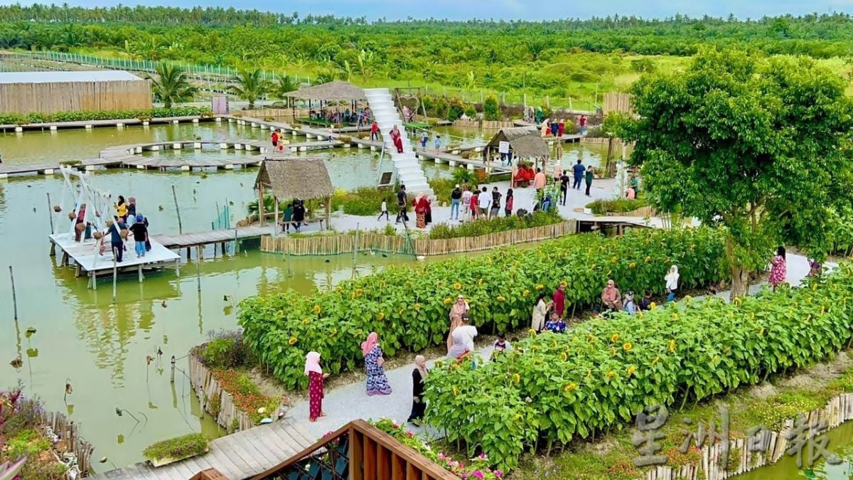 【半岛心旅行】体验暖暖人情味 双武隆渔村慢活海上游