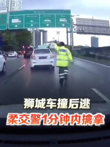 狮城车在柔佛撞后逃 大马交警1分钟内擒拿