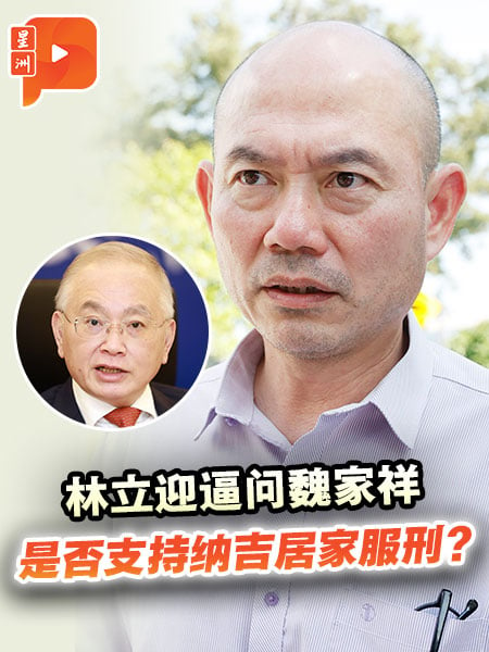 林立迎质问马华是否挺纳吉居家服刑 魏家祥：无关紧要