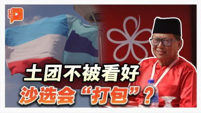 伊党不是“神队友”？土团征战沙选成绩堪忧