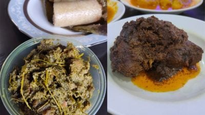 阿蓟／一起来认识蔬食版Rendang！