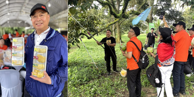 Chinese nationals join company incentive tour to visit Johor durian farm