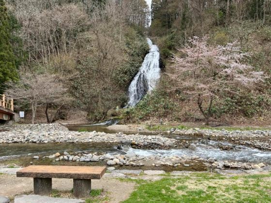 【日本】日本东北追樱之旅：带你走进奥入濑溪流中