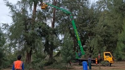 加强生态环境保护    关丹市厅砍树防灾