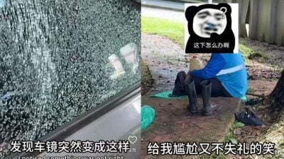 视频| 割草工人疏忽击碎车镜 女牙医追责无果叹倒霉