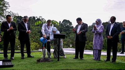 5年植树运动提前达标   安华国会种第1亿棵