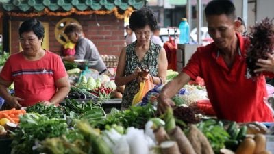 雨季歉收 本地菜漲價   吃進口菜好時機！