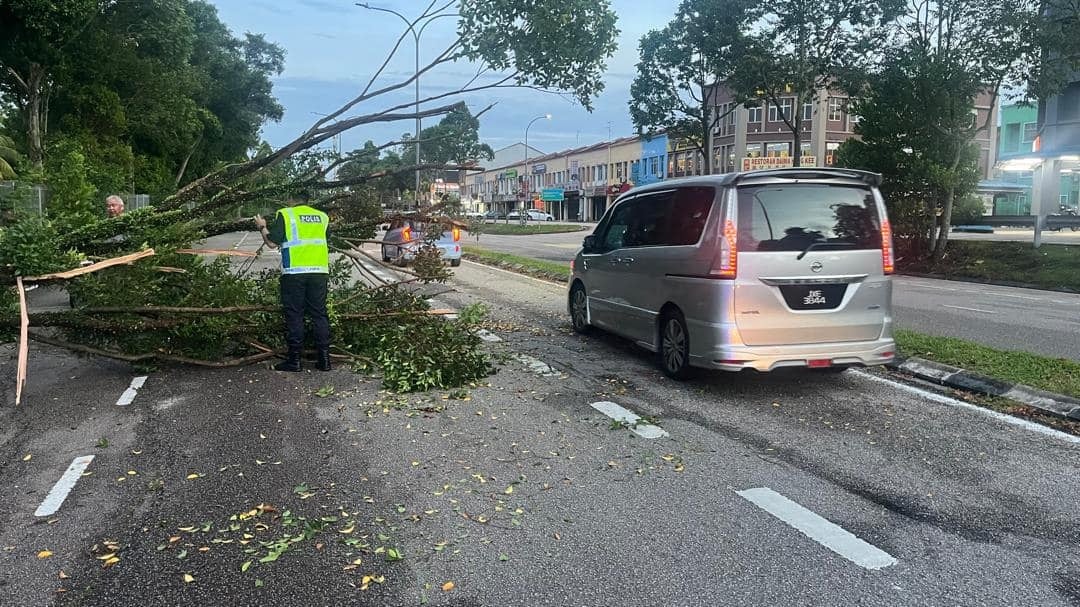 *已签发*  柔：新闻：警民合力移除倒树解道路受阻情况