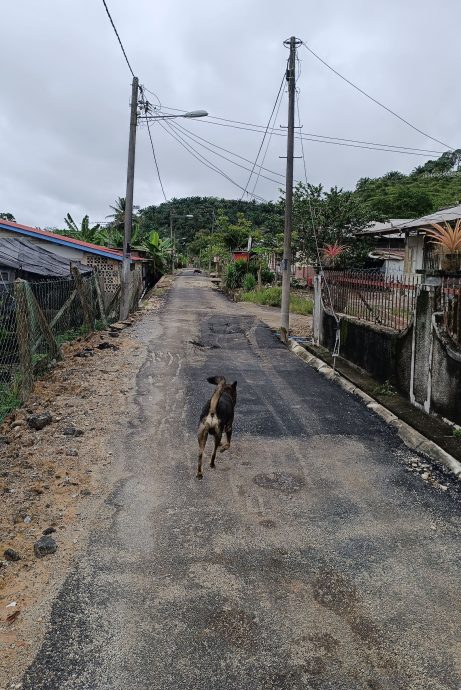 甲必12里村两周逾10次地下水管破裂，居民怨声四起