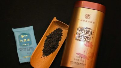 第一届马来西亚国际六堡茶文化节 | 宝味茶韵竹映清风各有特色