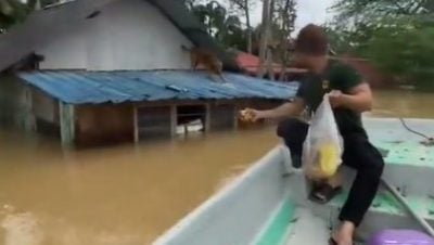 视频|年终大水灾|“浪浪”屋顶避灾 暖心男乘船投食