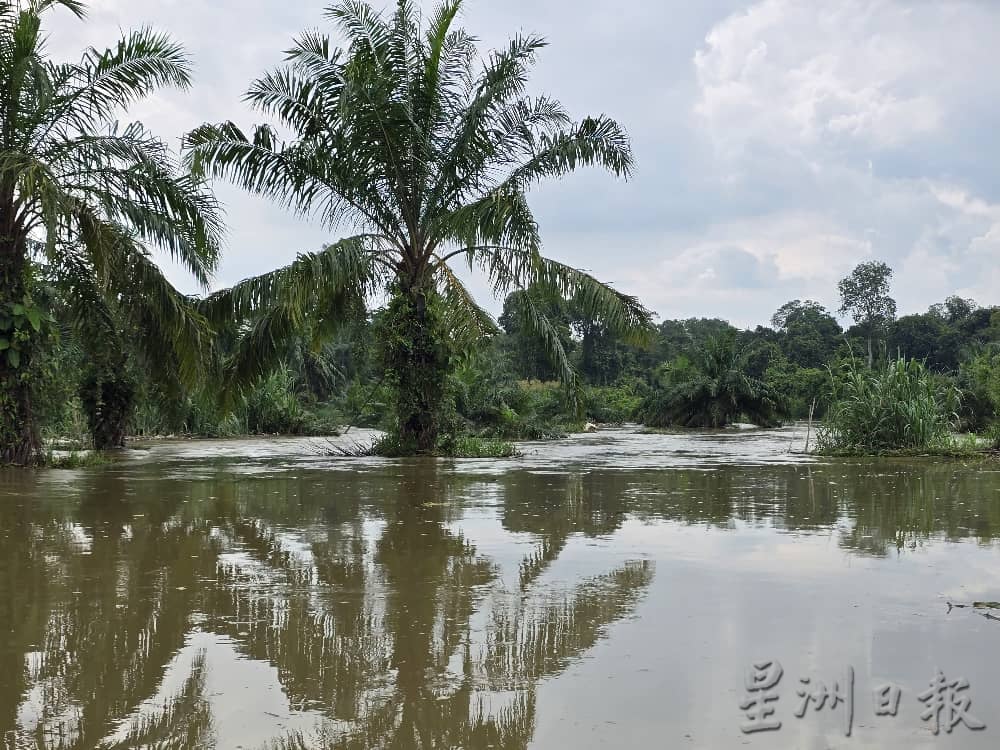 霹水灾未见好转　　设9中心疏散615人