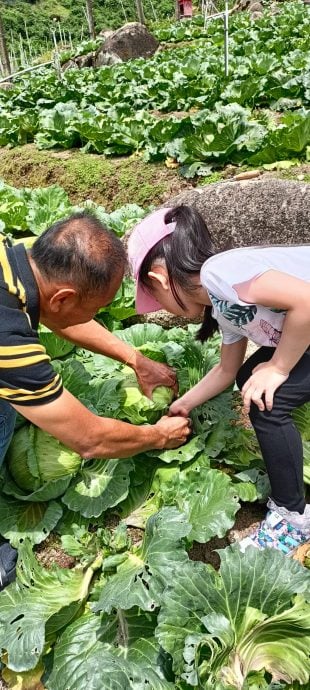 霹：封面主文／金马仑游客回涌 旅游业久旱逢甘露