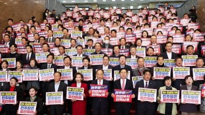 “避免陷入乱局” 韩执政党党首：力阻弹劾案获批