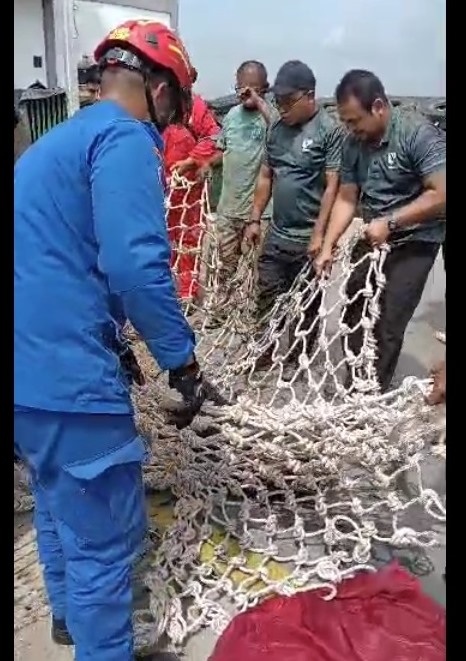 （古城版）捕获鳄鱼