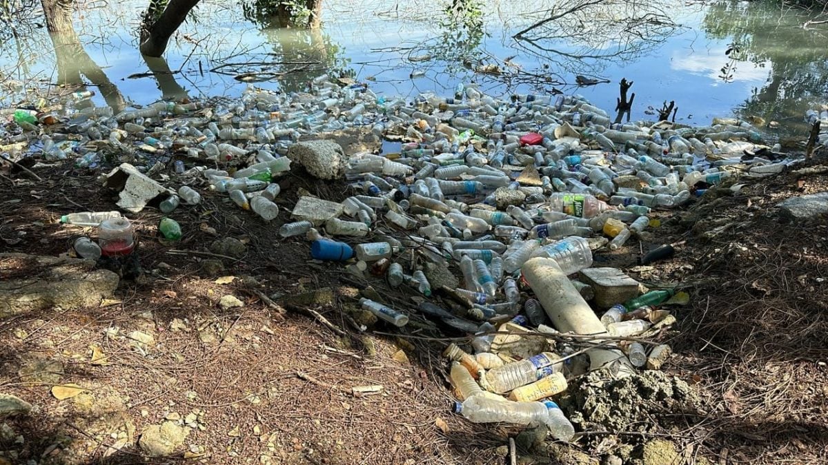 （古城第三版主文）沿岸地区缺乏管制卫生 双岛城堆积垃圾问题