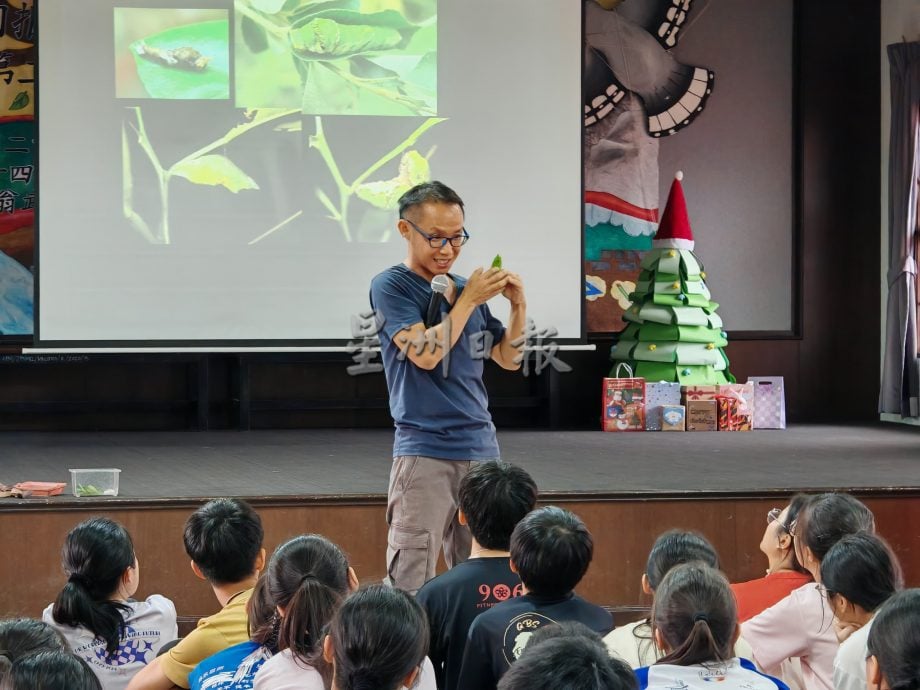 （古城第三版副文）中学生在假日营，认识我们周围的动植物