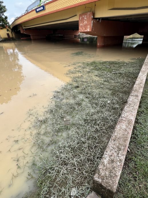 （古城第四版主文）峇章河畔走道“淹水”·晨运客望水兴叹