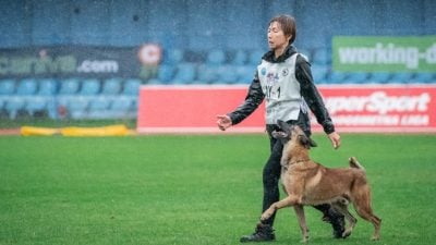 夫妻档并肩作战 训犬 竞技场上争夺“世界杯”