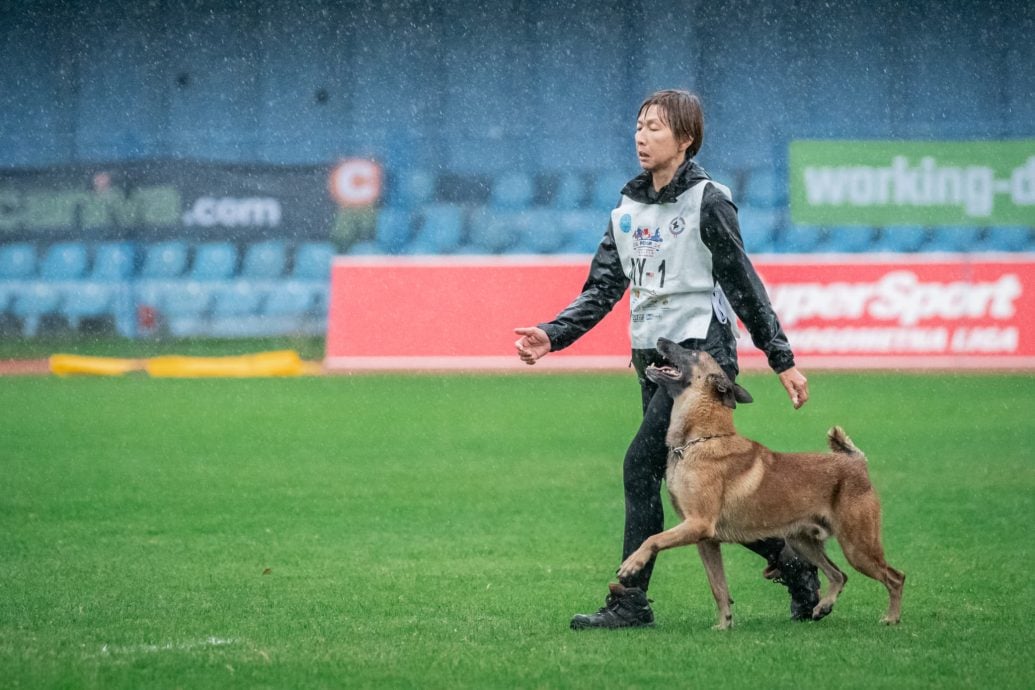 训犬路上并肩作战的夫妻档