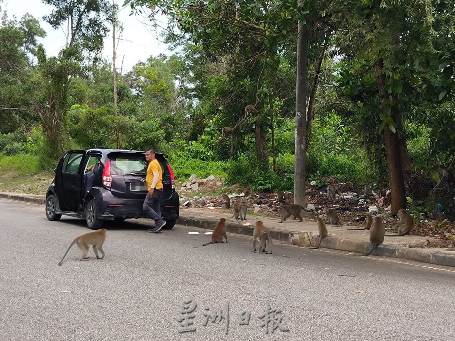 缺德厂商乱丢废弃冰箱内胆，工业区沦为非法垃圾场