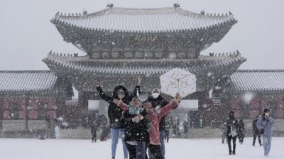 驻韩使馆：先查旅行社背景   慎防低价游韩陷阱